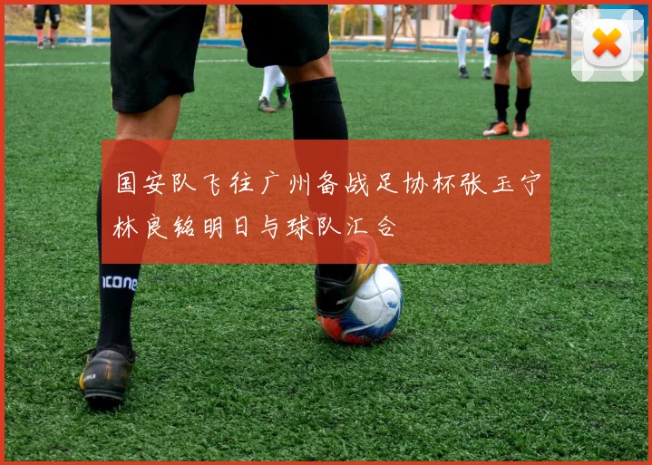 国安队飞往广州备战足协杯张玉宁林良铭明日与球队汇合