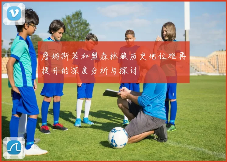 詹姆斯若加盟森林狼历史地位难再提升的深度分析与探讨