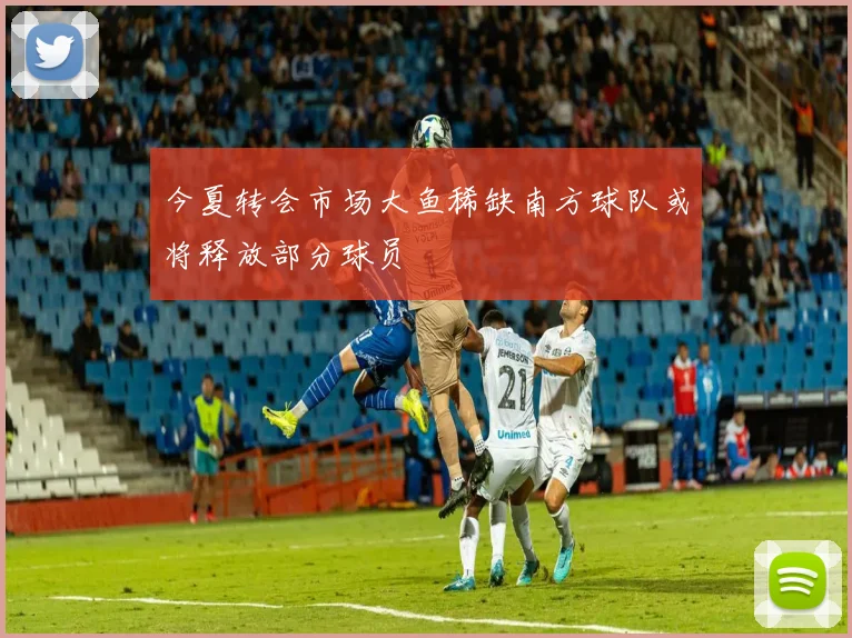 今夏转会市场大鱼稀缺南方球队或将释放部分球员